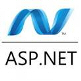 ASP.Net WebForms and MVC (Both View Engines)